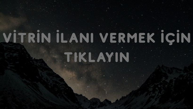 ARAS BEY